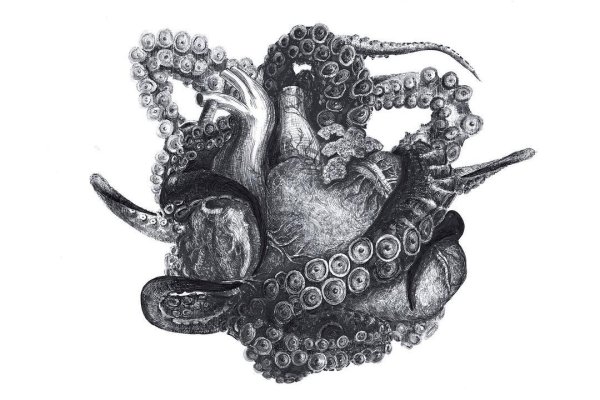 Кракен без тор