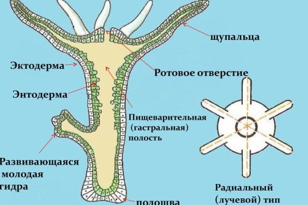 Кракен вход официальный сайт