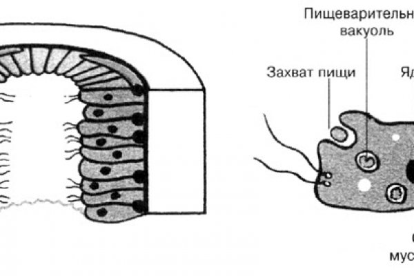 Не заходит на кракен