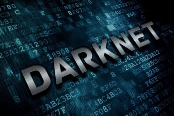 Как найти kraken