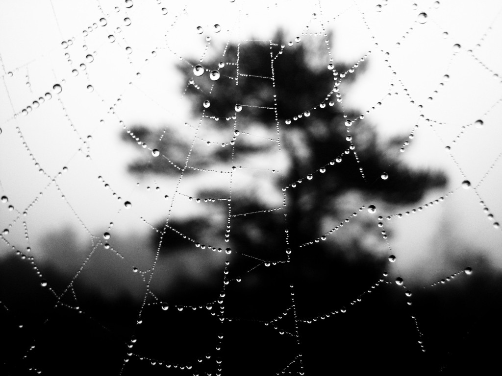 Kraken com зеркало